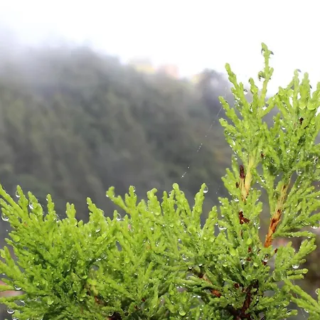 Villa Quintinha Da Romana