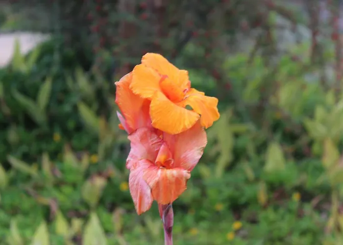 וילה Quintinha Da Romana Câmara de Lobos