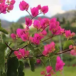 Quintinha Da Romana Villa