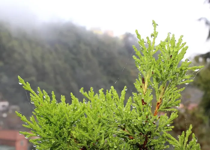 Willa Quintinha Da Romana