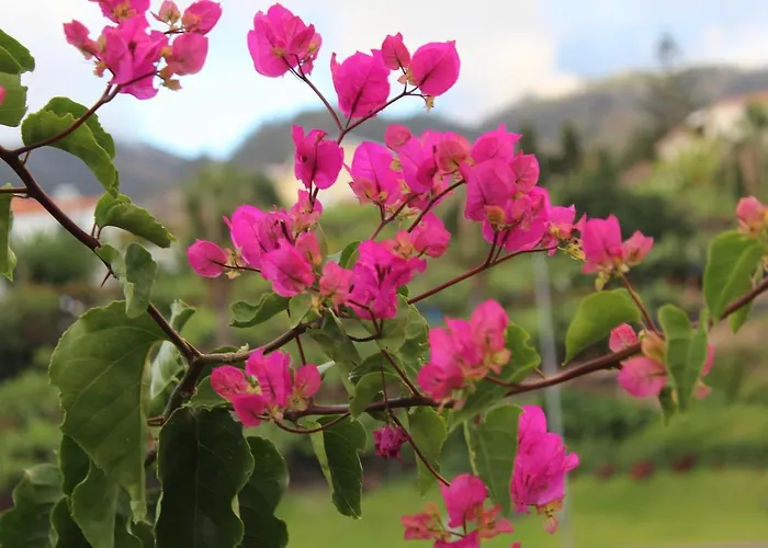 Quintinha Da Romana Villa